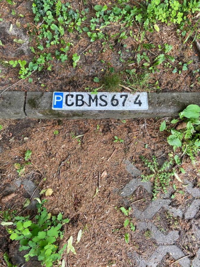 Schoene Ferienwohnung Mit Kostenlosem Parkplatz Cottbus Eksteriør billede